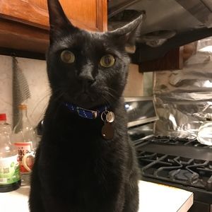 Meet your Posher, Joanne